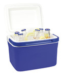 Cooler Ice Box 4.5L