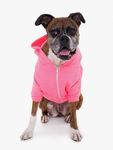  American Apparel Dog Flex Fleece Hood